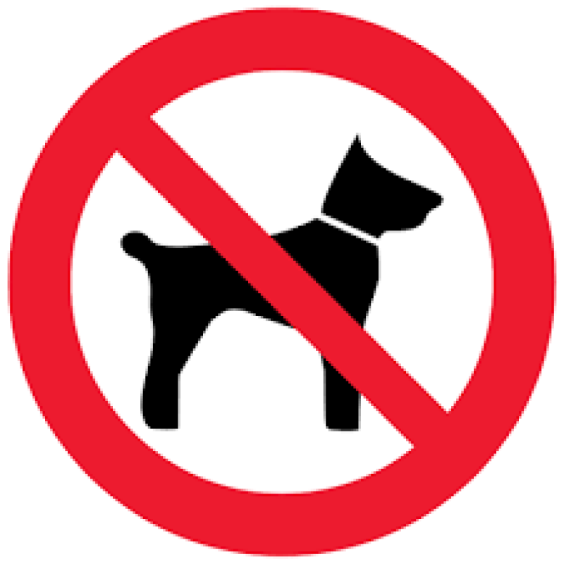 Р14. Запрещается вход с животными. 